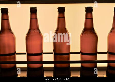 Bitburg, Deutschland: Bitburger Bierflaschen auf einem Förderband. Die Bitburger Brauerei ist eine große deutsche Brauerei, die 1817 gegründet wurde. Stockfoto