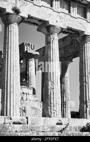 Säulen des Tempels von Aphaea auf der Insel Ägina, Griechenland. Alte griechische Architektur, Schwarz-Weiß-Fotografie Stockfoto