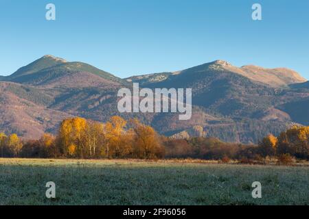 Herbstlicher Wald in den Ausläufern der Mala Fatra, Slowakei. Stockfoto