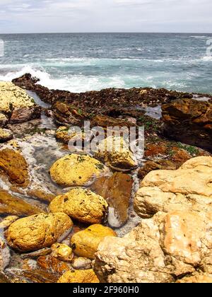 Abgerundete Felsbrocken in der Brandung, an der Küste des Garden Route National Park, Südafrika Stockfoto