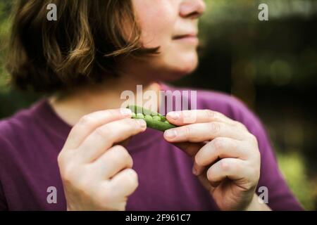 Frau, die Bio-Erbsen aus dem Garten isst Stockfoto