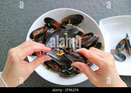 Nahaufsteher greifen Muschelfleisch mit einer leeren Muschelschale heraus, mit einem verschwommenen belgischen gedünsteten Muschelgericht im Hintergrund Stockfoto