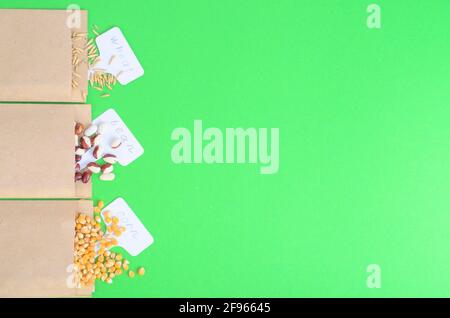 Gemüsesamen in Kraftpapier-Tüten auf hellem Hintergrund. Studio Foto Stockfoto