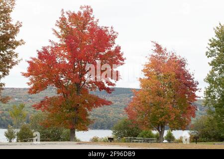 Öffentlicher Erholungspark in Newbury NH, in Western NH. Fast 3,000 Hektar umfasst das Skigebiet MT Sunapee im Besitz des US-Bundesstaates NH. Bei schönem Wetter geöffnet. Swi Stockfoto