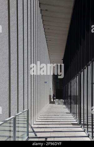 Deutschland, Berlin, Neues Museum, James Simon Gallery Stockfoto