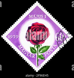 MOSKAU, RUSSLAND - 21. AUGUST 2019: In Ungarn gedruckte Briefmarke zeigt Rose (Rosa hybr.), 60 ungarischer Forint, 1. Mai Serie, um 1959 Stockfoto