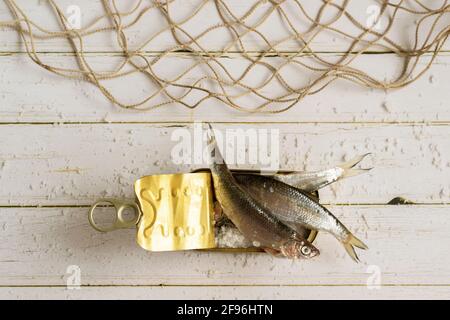 Frischer Fisch aus der Dose, gesunde Lebensmittel Stockfoto