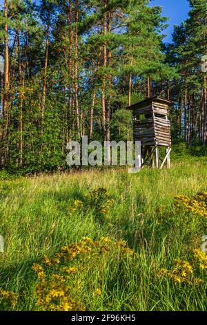 Hoher Sitz, Jägerstand Stockfoto