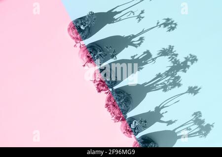 Kreatives Musterlayout aus gekeimtem Karotten mit langen harten Schatten auf blauem und pinkem Hintergrund. Minimales Agrarkonzept. Speicherplatz kopieren. Flach Stockfoto