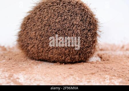 Verstreute, bräunliche Puder- und Make-up-Bürste für das Gesicht auf weißem Hintergrund. Nahaufnahme. Vorderansicht. Stockfoto