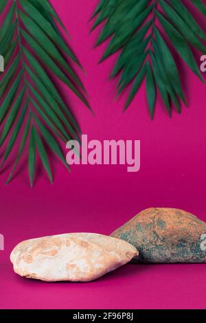 Podium, zwei Steine mit Palmblättern auf einem leuchtend rosa Hintergrund. Produktwerbung. Kosmetologie und Schönheitskonzept. Speicherplatz kopieren. Stockfoto