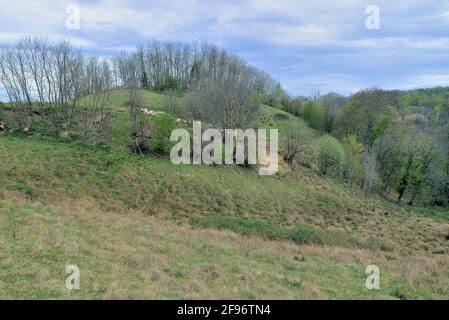 RUINEN DER MITTELALTERLICHEN ALTSTADT VON STENICNJAK IN KROATIEN Stockfoto