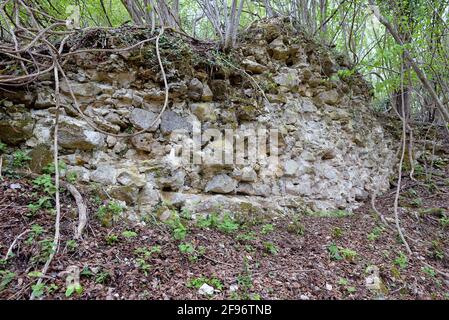 RUINEN DER MITTELALTERLICHEN ALTSTADT VON STENICNJAK IN KROATIEN Stockfoto