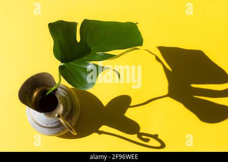 Monstera Blatt in Messingkrug mit Sonnenlicht und hartem Schatten auf gelbem Papier Hintergrund. Sommerkonzept mit Palmenblatt. Speicherplatz kopieren. Flach liegend. Stockfoto