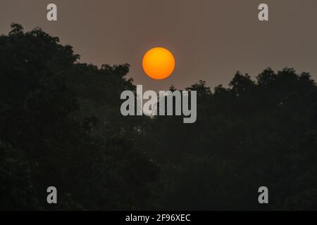 Der heilige Garten, hinduistisches Sonnenfest Chhat Puji Stockfoto