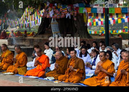 Der heilige Garten, hinduistisches Sonnenfest Chhat Puji Stockfoto