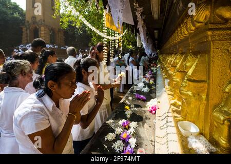 Kelaniya Tempel Stockfoto