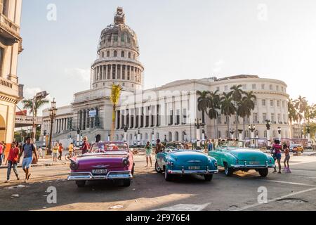 HAVANNA, KUBA - 20. FEB 2016: Bunte Oldtimer warten auf Touristen im Parque Central in Havanna vor dem National Capitol. Stockfoto