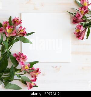 Frische Alstroemeria-Blumen als Rahmen um weiße Leinwand Mit Kopierbereich auf weißem Holzhintergrund Stockfoto