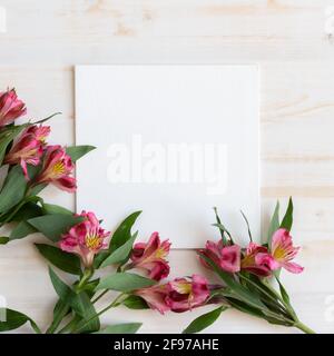 Frische Alstroemeria-Blumen als Rahmen um weiße Leinwand Mit Kopierbereich auf weißem Holzhintergrund Stockfoto