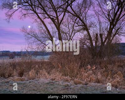 Wintermorgen am Schutter Stockfoto