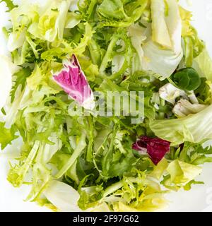 Haufen frischer Salatblätter auf weißem Hintergrund, Haufen von Baby-Blättern von Endive, Rucola, Rucola und Salat, Nahaufnahme Stockfoto