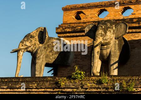 Thailand, Chiang Mai, Tempel Wat Chedi Luang, Statue, Elefant, Stockfoto