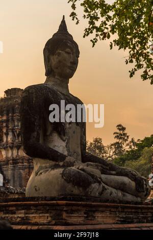 Thailand, Ayutthaya, Statue im Wat Mahathat Tempel Stockfoto