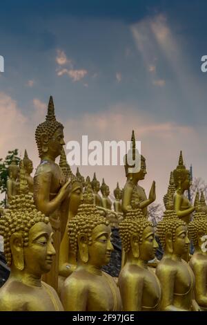 Laos, Pakse, der VAT Phou Salao Tempel, viele Buddha Statuen, golden Stockfoto