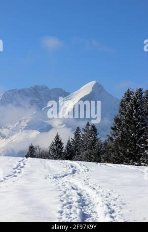 Wanderweg zwischen schneebedeckten Fichten hinter den Alpensitzen, Blick vom Eckbauer Lichtwolkenband, Winter im Werdenfelser Land, Europa, Deutschland, Oberbayern Bayern, Garmisch Partenkirchen, Traumwetter Stockfoto