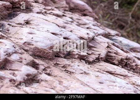 Fragile Felsen, die aufgrund oxidierter Eisenminerale rosa gefärbt sind. Stockfoto