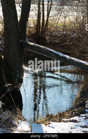 Winter, Wetter, Bayern, Wagen, Tachinger See, Rupertiwinkel Region, Oberbayern, Eis, gefrorener See, Ufer, Bäume Stockfoto