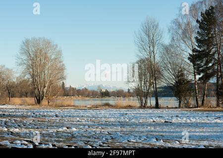 Winter, Wetter, Bayern, gefrorenes Feld am Waginger See, Rupertiwinkel Region, Oberbayern, Stockfoto