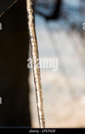 Winter, Wetter, Bayern, Oberbayern, Eiszapfen Stockfoto