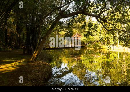 Vietnam, Hue, Chua Tu Hieu Pagode, Thich Nhat Than Stockfoto