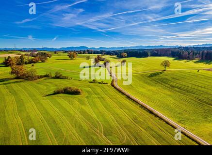 Bayerisches Alpenvorland im Herbst, Drohnenbild, Oberbayern, Bayern, Deutschland, Europa Stockfoto