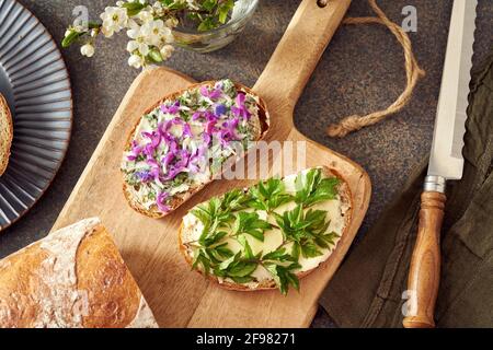 Sauerteig-Brot mit wilden essbaren Frühlingspflanzen - junge Blätter des gemahlenen Holunders, Blüten der purpurroten Totennessel und Lungenkraut Stockfoto