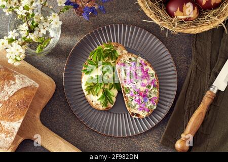 Scheiben Sauerteigbrot mit gemahlenen Holunderblättern, Lungenkraut und anderen essbaren Wildfrühlingspflanzen Stockfoto