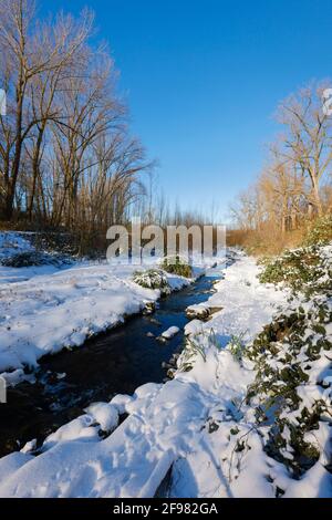 Bochum, Nordrhein-Westfalen, Deutschland - sonnige Winterlandschaft im Ruhrgebiet, Eis und Schnee beim renaturierten Goldhammer Bach, der Bach wurde in einen natürlichen Wasserkörper verwandelt, der Goldhammer Bach fließt über den Hüller Bach in den Emscher, Gehört zum Emscher-Flusssystem und damit zum Emscher-Umbau, war zuvor ein offener oberirdisch-oberirdisch-Abwasserkanal, Mischwasserkanal mit Oberflächenwasser und Abwasser. Stockfoto