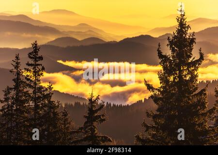 Kalter Wintermorgen in den Bergen Stockfoto