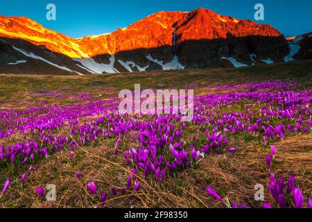 Purple Valley - Urdin Zirkus in Rila Berg im Frühling Stockfoto