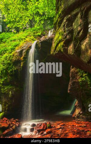 Wasserfall im Frühlingswald Stockfoto