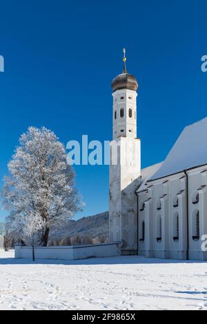 Wallfahrtskirche St. Coloman, hinten Tannheimer Berge, Schwangau, Füssen, Allgäuer Alpen, Ostallgäu, Allgäu, Bayern, Deutschland, Europa Stockfoto