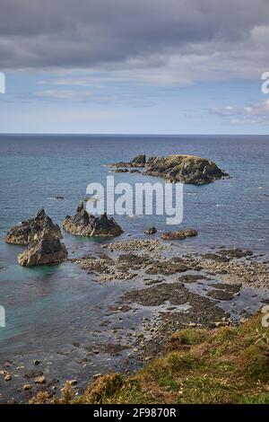 Höhle in riesigen felsigen Klippen des Kilfarrasy Beach. Co.Waterford Coastline, Irland Stockfoto