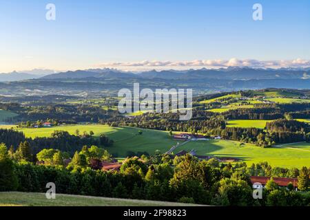 Idyllische Morgenstimmung im Allgäu mit Wiesen und Wäldern. Im Hintergrund Allgäuer Alpen und Zugspitze. Bayern Deutschland Stockfoto