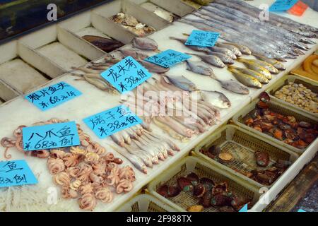 Große Auswahl an frischem exotischen Fisch und Meeresfrüchten zum Verkauf in einer chinesischen Straße. Diese waren in der Innenstadt von Shanghai erhältlich. Stockfoto