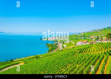 Weinregion Lavaux bei Lausanne, Schweiz Stockfoto