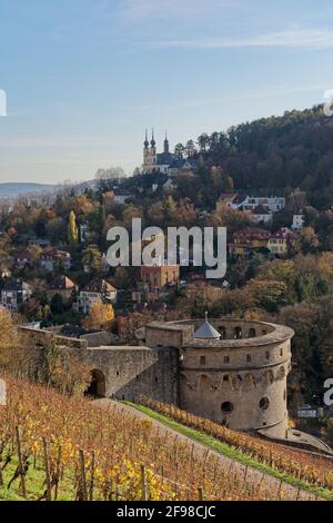 Maschikuliturm in den Weinbergen der Festung Marienberg oberhalb der Stadt Würzburg, Unterfranken, Franken, Bayern, Deutschland Stockfoto