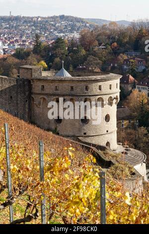 Maschikuliturm in den Weinbergen der Festung Marienberg oberhalb der Stadt Würzburg, Unterfranken, Franken, Bayern, Deutschland Stockfoto