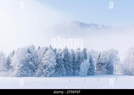 Ein magischer Wintermorgen in Schlehdorf am Kochelsee, Bayern, mit Frost, Sonnenschein, Nebel und frisch gefallener Schneedecke. Stockfoto